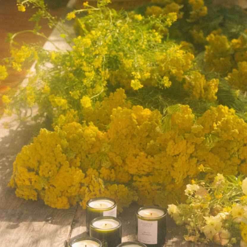 Flamingo Estate Golden Pollinator Candle
