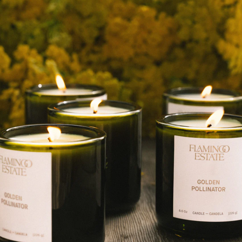 Flamingo Estate Golden Pollinator Candle