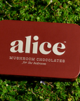 Alice Mushroom Chocolate - Happy Ending