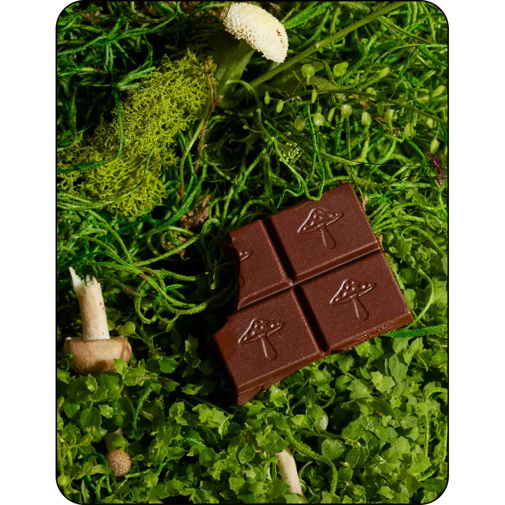 Alice Mushroom Chocolate Singles - Brainstorm