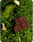 Alice Mushroom Chocolate - Brainstorm