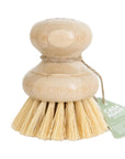Casa Agave Dishwashing and Vegetable Hand Brush
