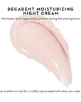 Furtuna skin Nightly Renewal Cream
