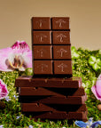 Alice Mushroom Chocolate - Happy Ending