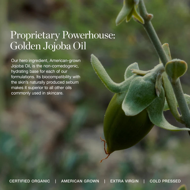 OGEE Silky Dream Cleansing Cream