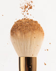 OGEE The Powder Brush