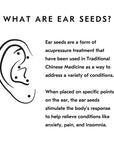 Mount Lai - Stainless Steel Reflexology Acupressure Ear Seeds
