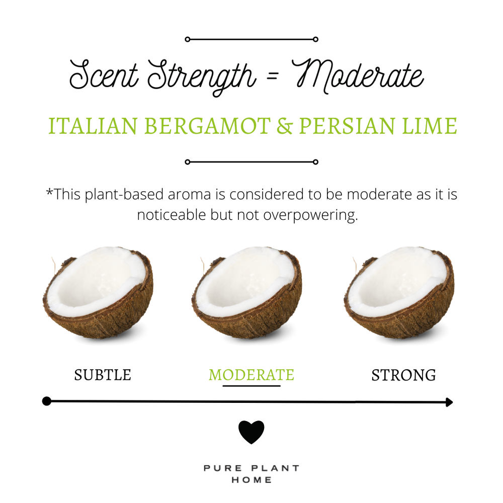 Pure Plant Home Bergamot & Persian Lime