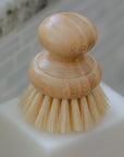 Casa Agave Dishwashing and Vegetable Hand Brush